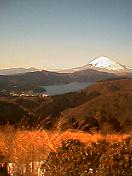 大観山からの富士